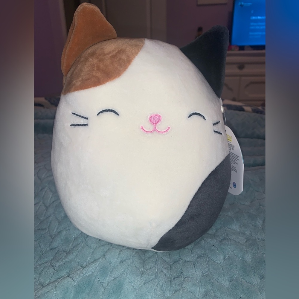 8 inch Cam Squishmallow